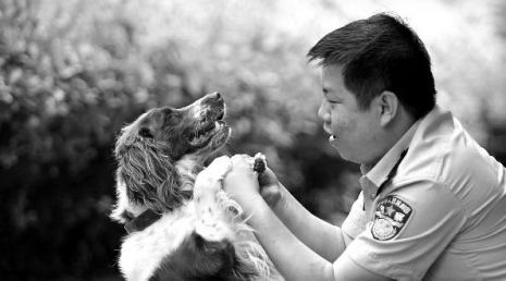 一只警犬是如何养成的? 民警:把破案当作一种游戏