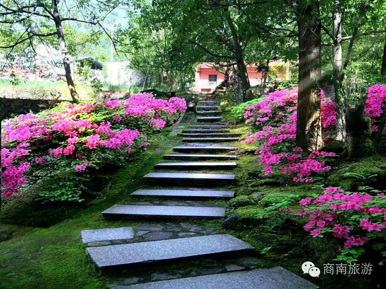 商南倾力打造后湾美丽乡村慢生活区