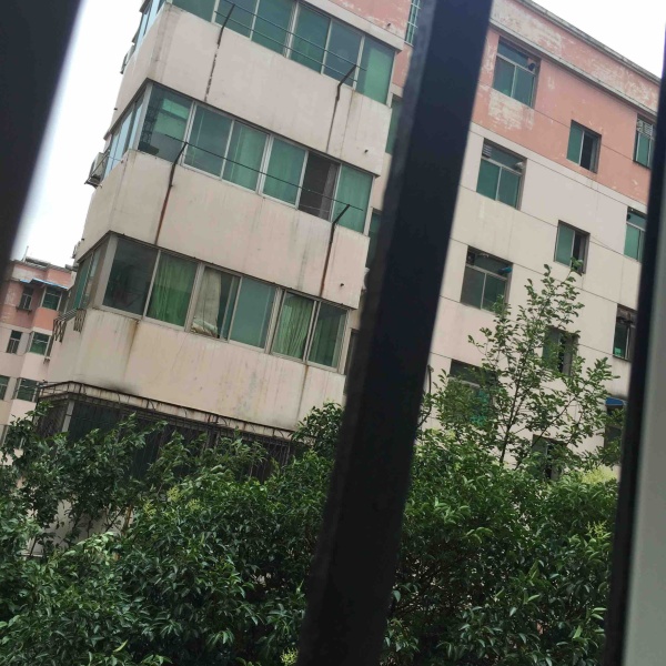 东郊2.jpg