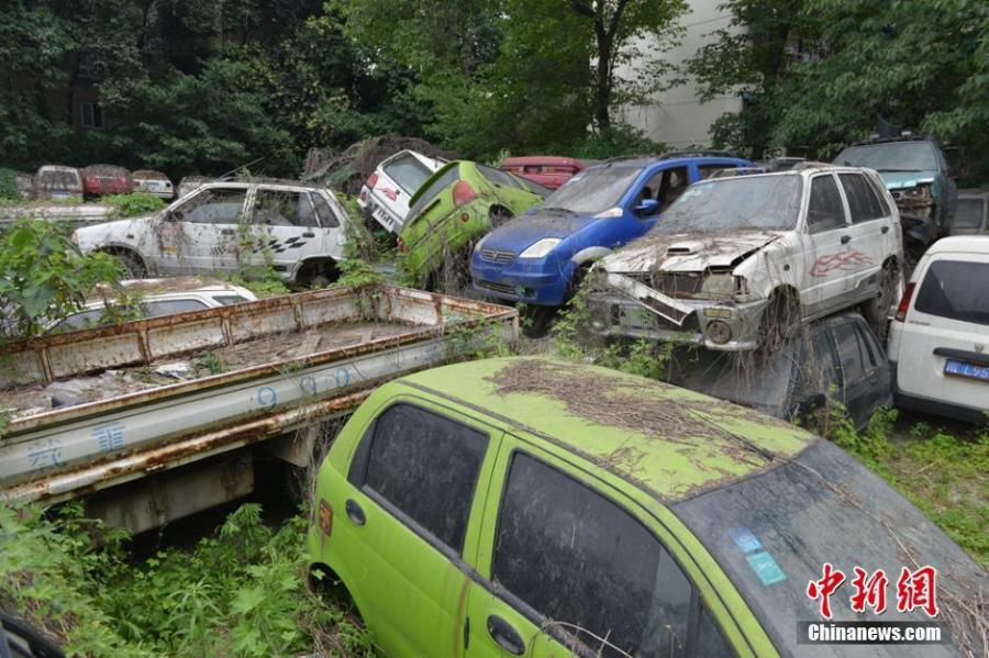 探访成都"汽车坟场" 居民楼下堆积如山