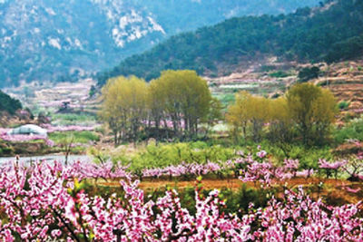 竹林关镇桃花谷美丽乡村建设新貌.jpg