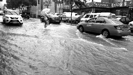 榆林多地遭暴雨 榆阳2205人受灾神木万亩农田被淹