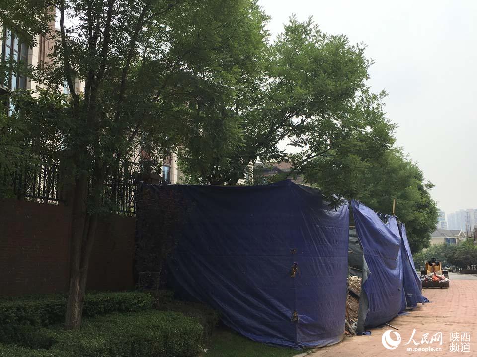 扩建已经占用了公共绿地。