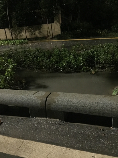 724暴雨 沣西新城海绵城市效果实况（魏春红摄影） (4).JPG