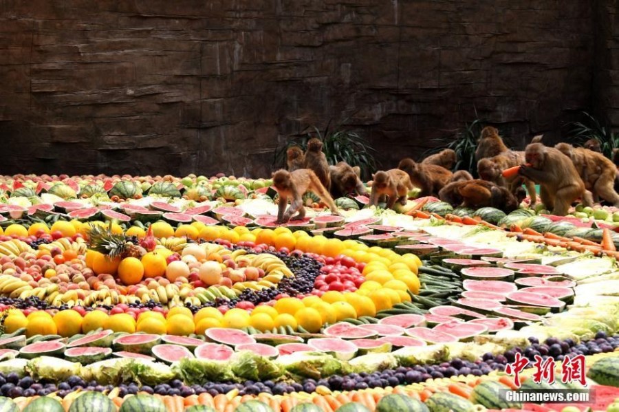 水果拼盘宴请美猴王|水果拼盘|美猴王-天下