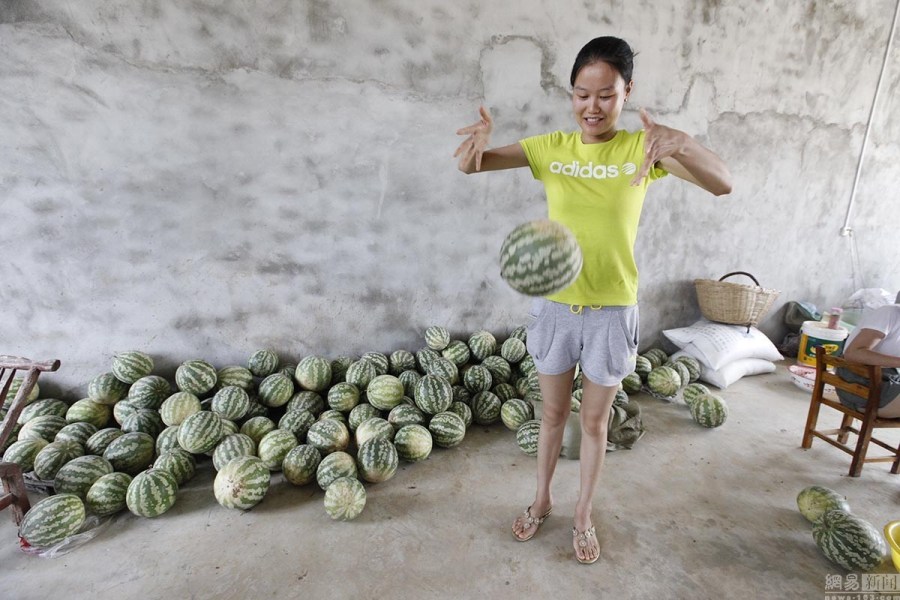 湖北农户种出奇葩西瓜 摔不破能当球踢