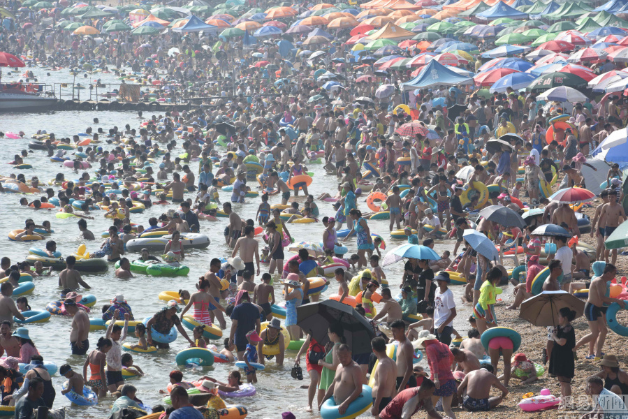 大连浴场人山人海|景观|大连-天下图库