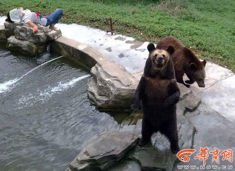 动物园躺.jpg