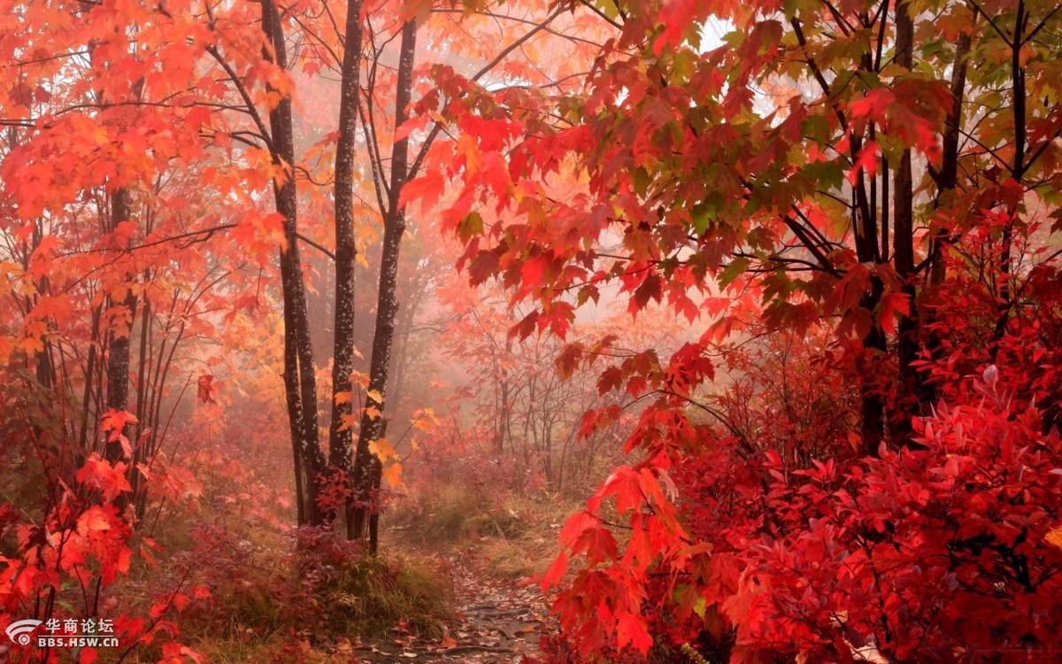 2017年中南大学体育教研部研究生专业目录