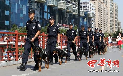 光 影1115.jpg