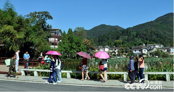 湄潭田家沟景区