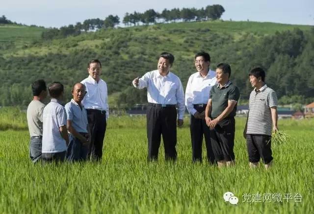 2015年7月16日，习近平在吉林省延边州和龙市东城镇光东村同村民和农技人员交流。