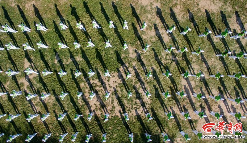 DJI_0905.jpg