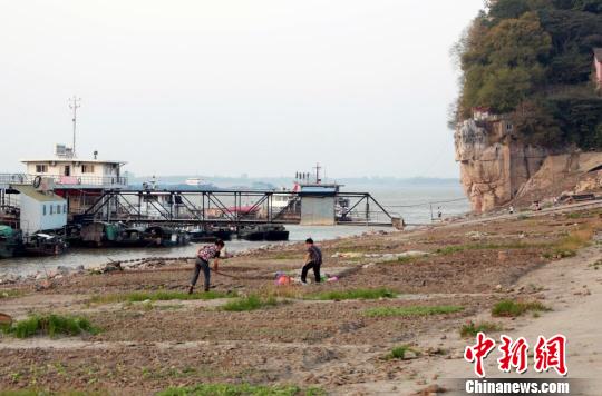 中国最大淡水湖跌破枯水位 湖岸变菜地渔民弃船