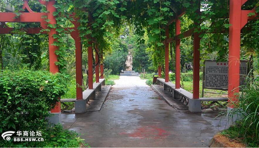 西安新植物园-古城杂谈|荣耀西安网|西安论坛-爱