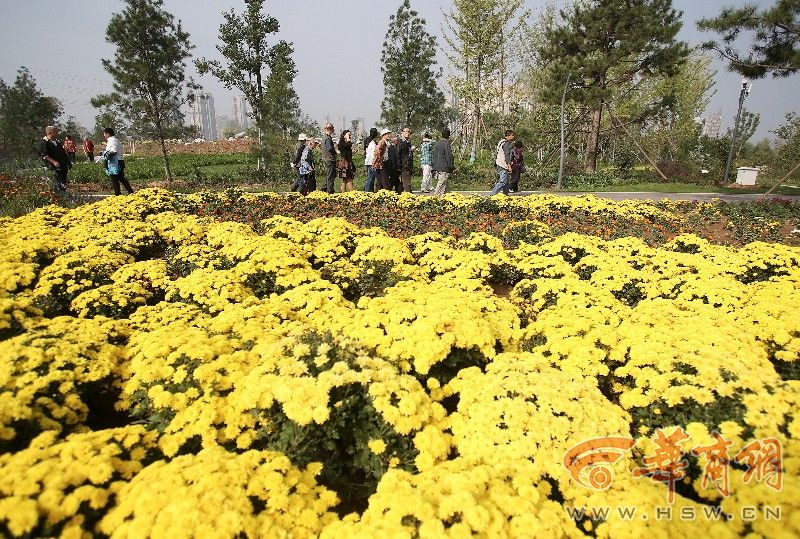 西安新植物园今日试开园 翠华路园区闭园改造两年