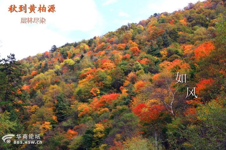 z84a2661.jpg 黄柏原.jpg