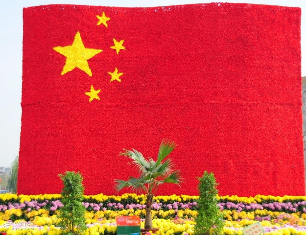 菊花盛开庆国庆