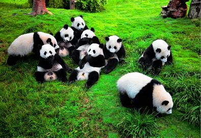 QQ截图20161007142904.jpg