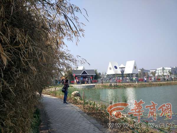 光 影1112.jpg