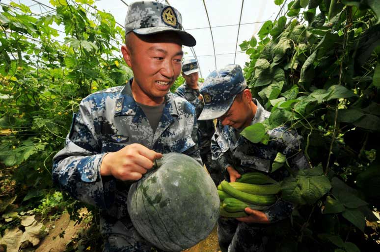 2012年7月17日，三级军士长王胜全带领炊事班人员采摘蔬菜（郭超英摄）