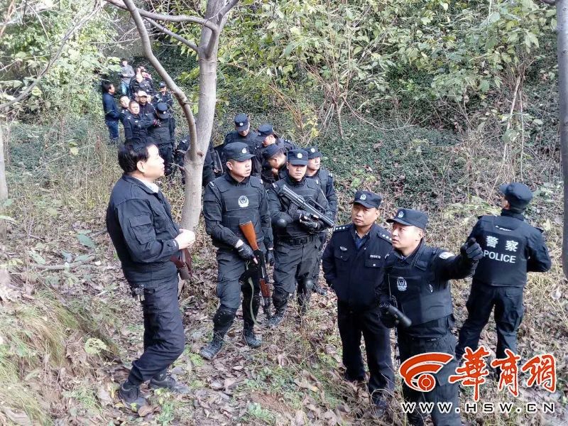 野猪群破坏村民庄稼 渭南民警击毙4头野猪|野猪