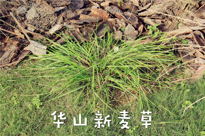 QQ图片20161114134622.jpg
