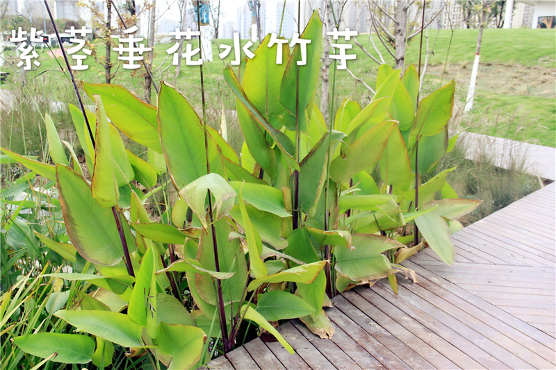 QQ图片20161114134022.jpg