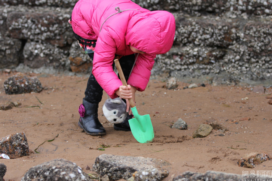 青岛市民栈桥海域赶海|赶海|海鲜-天下图库