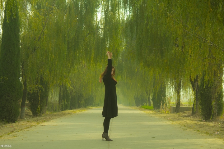 【消失的乡镇】杨盼带你看《百鸟朝凤》电影取景地 <wbr>古宅破败令人忧 【消失的乡镇】杨盼带你看《百鸟朝凤》电影取景地 <wbr>古宅破败令人忧