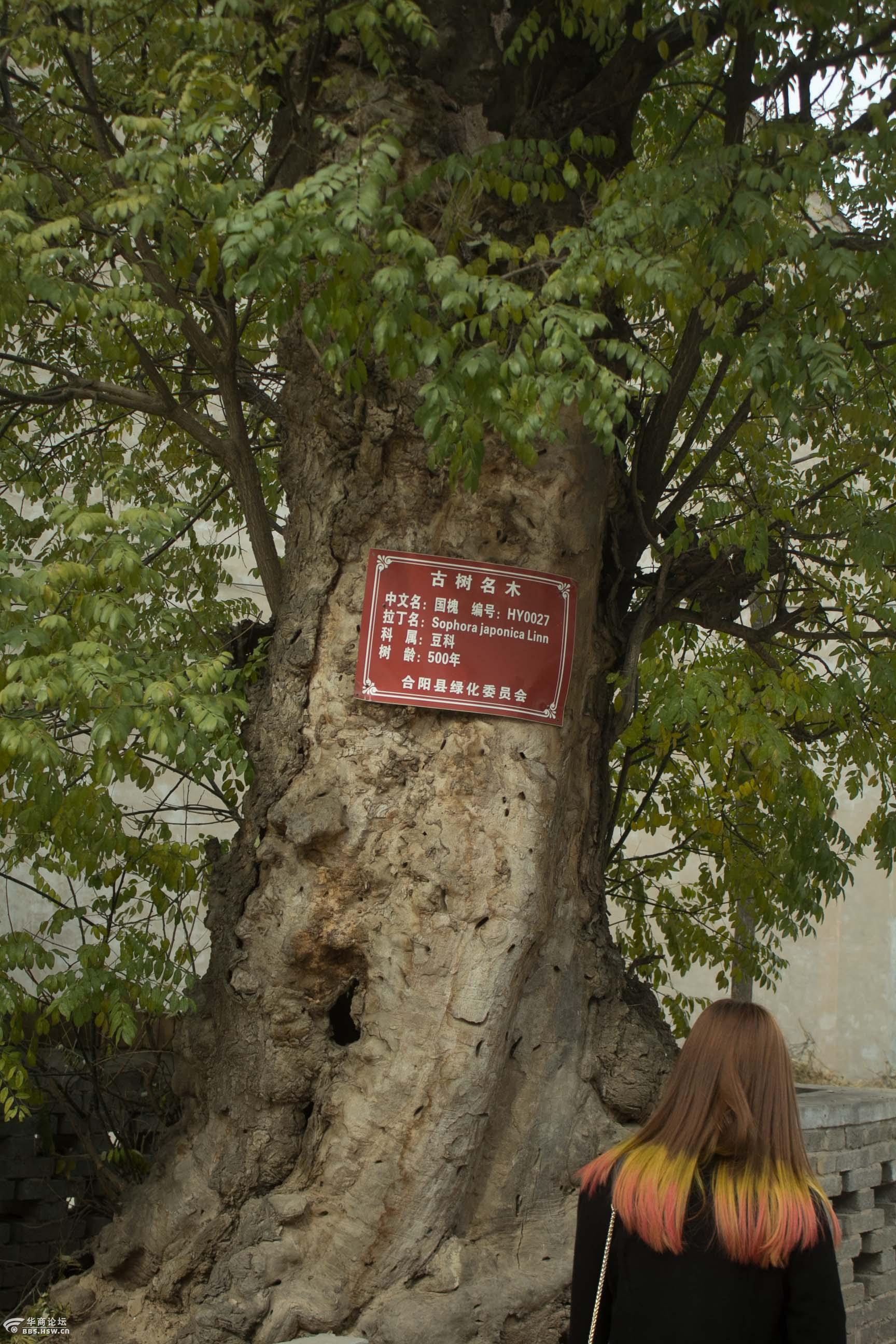 【消失的乡镇】杨盼带你看《百鸟朝凤》电影取景地 <wbr>古宅破败令人忧 【消失的乡镇】杨盼带你看《百鸟朝凤》电影取景地 <wbr>古宅破败令人忧