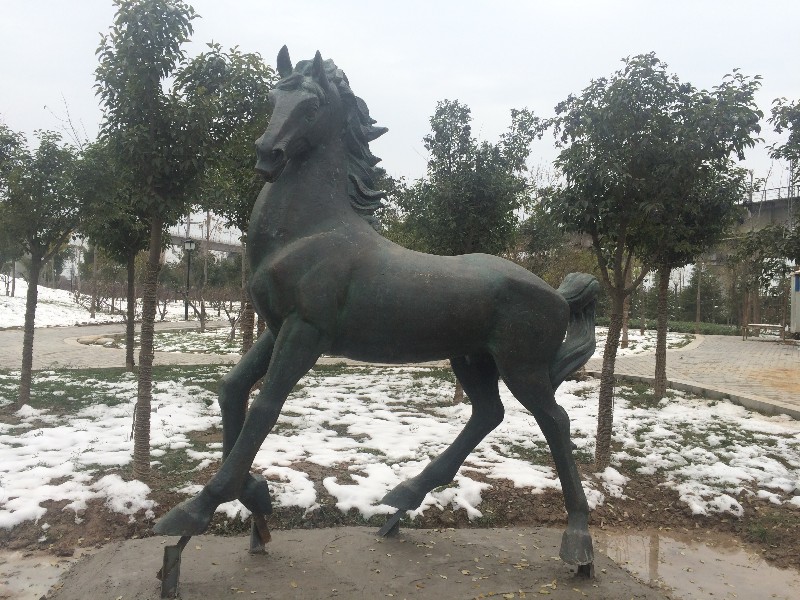 c436c8b0.jpg 58380cdb421dd.JPG