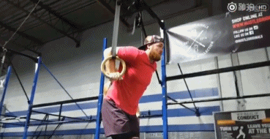 7体育2.gif