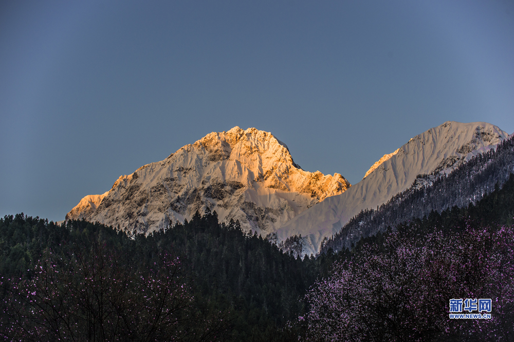 （综合）西藏：冰天雪地也是金山银山