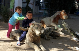 加沙一动物园动物饿死 干尸放空地上成儿童玩具