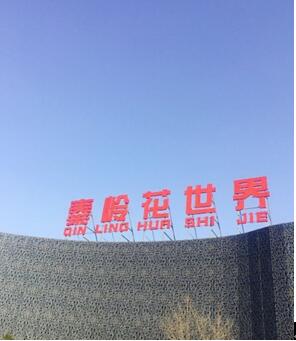 赏花看灯猜谜…逛…吃 华商网直播玩转陕西首届年宵花展