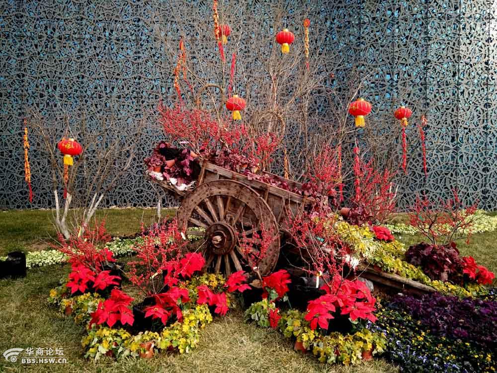 【手机随拍】秦岭花世界