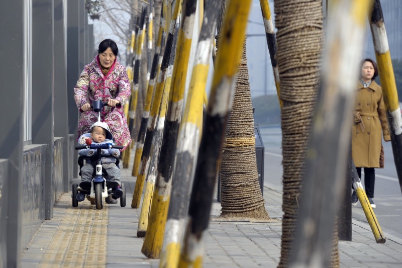 为稳固树木设支架 小南门附近人行道只剩盲道