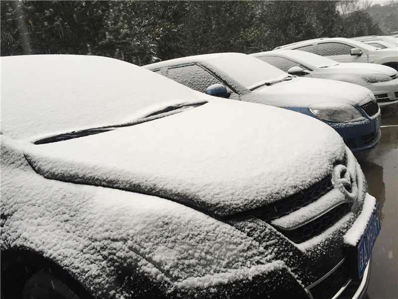 下雪啦!一觉醒来整个西安都白了