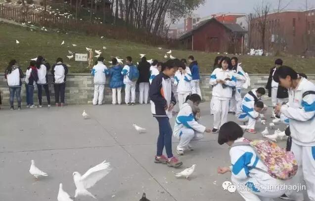 周末约吗?西安-照金旅游直通车正式开通啦!|周