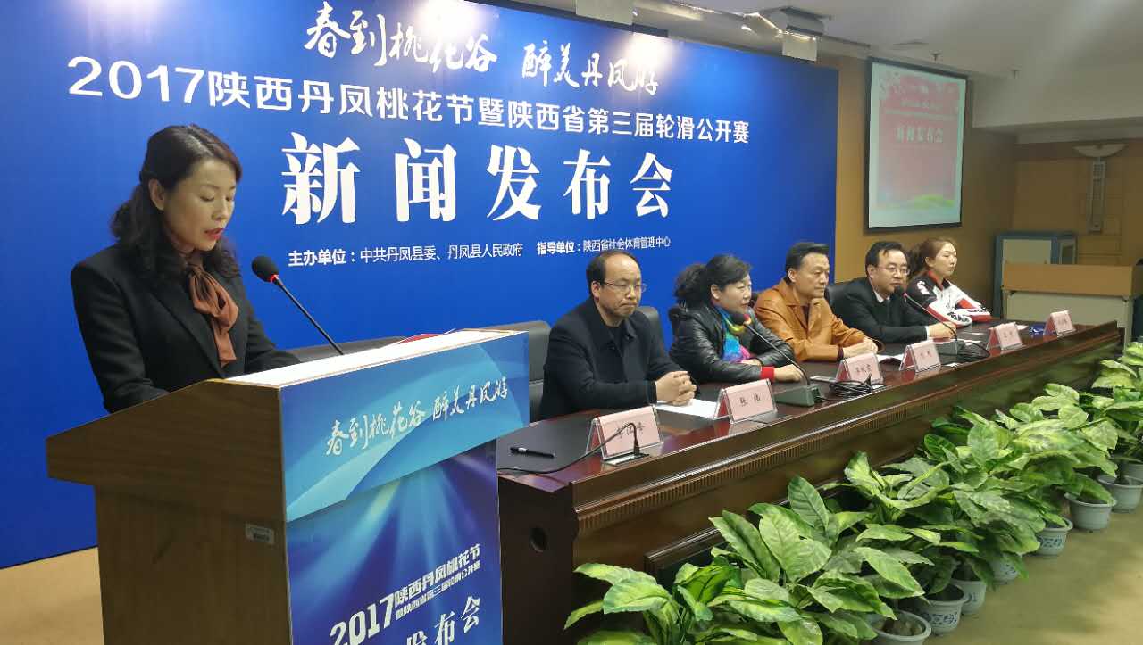 丹凤桃花谷民俗文化旅游节暨陕西省第三届轮滑