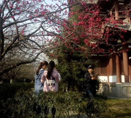 青龙寺大景区闭园时间 3月15日起延迟至晚9时