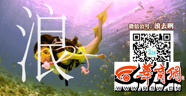 k8dp04yx.gif 浪去咧.gif