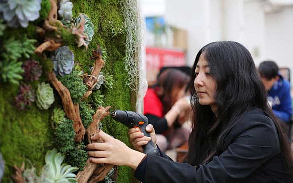 西安90后女孩用多肉植物做画 为客户定制绿化方案