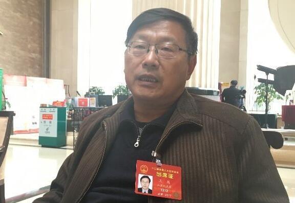 人大代表王巍:利用好陕西文物资源 诉说历史传承文明