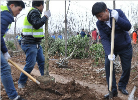 春意渐浓城市再增绿 碑林区周末义务栽种千余棵树苗