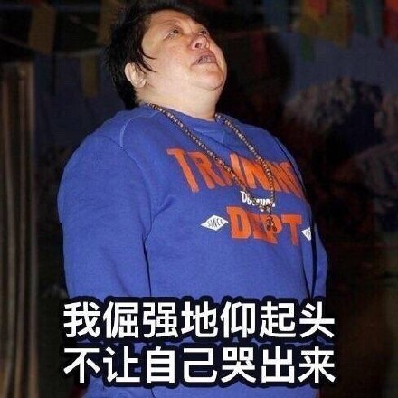 韩红想销毁自己的表情,表情都笑疯了,我却想丘比龙图片网友包抱抱大全动态图片