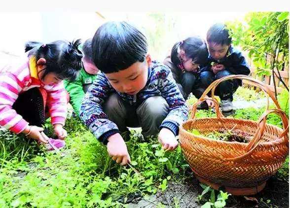 吃了野菜才叫过春天，这些儿时挖过的野菜你还认识吗？