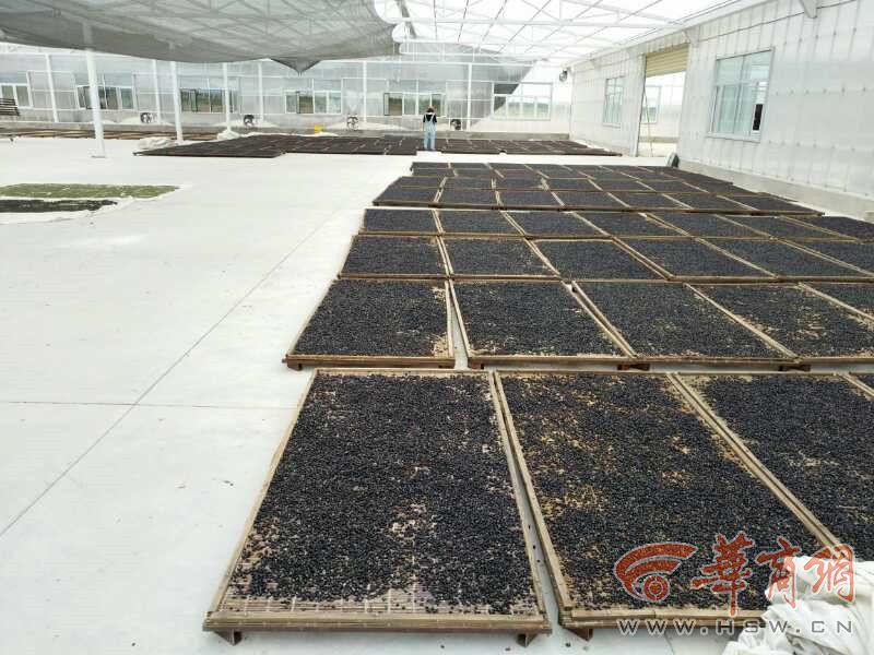 QQ图片20170325104405.jpg
