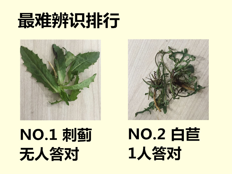 最难识别.jpg